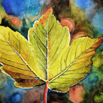 Autumn Leaf