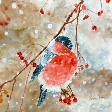 Bullfinch in Winter