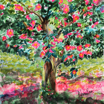Camellia Tree